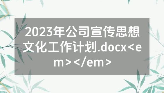 2023年公司宣传思想文化工作计划.docx<em></em>