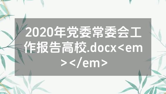 2020年党委常委会工作报告高校.docx<em></em>