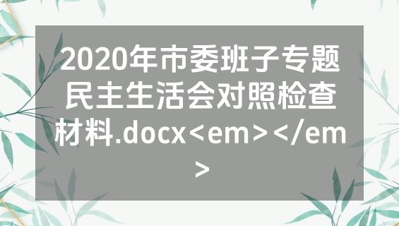 2020年市委班子专题民主生活会对照检查材料.docx<em></em>