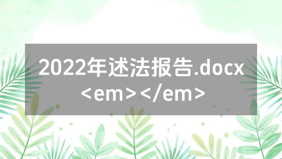 2022年述法报告.docx<em></em>