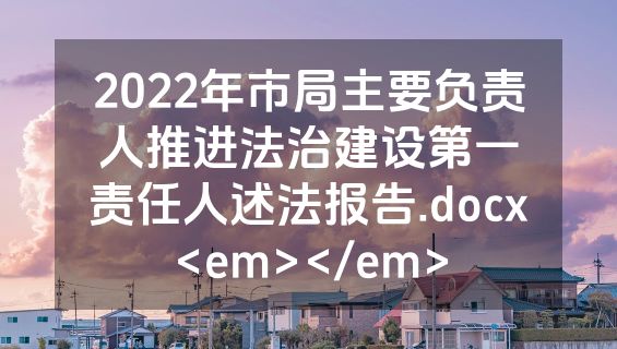 2022年市局主要负责人推进法治建设第一责任人述法报告.docx<em></em>