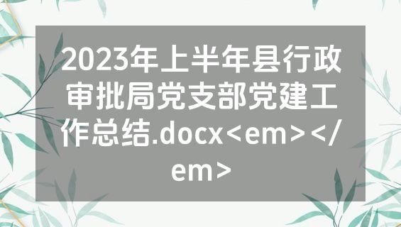 2023年上半年县行政审批局党支部党建工作总结.docx<em></em>