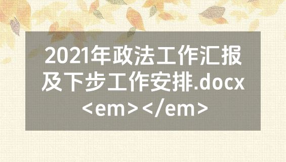 2021年政法工作汇报及下步工作安排.docx<em></em>