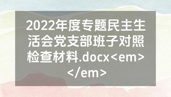 2022年度专题民主生活会党支部班子对照检查材料.docx<em></em>