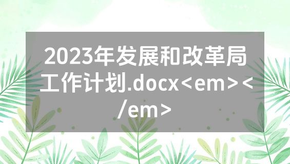 2023年发展和改革局工作计划.docx<em></em>