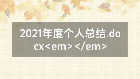 2021年度个人总结.docx<em></em>