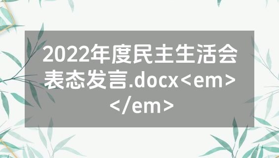 2022年度民主生活会表态发言.docx<em></em>