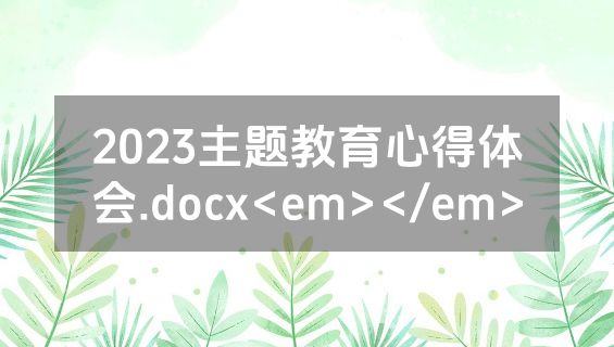 2023主题教育心得体会.docx<em></em>