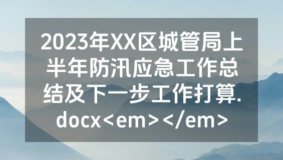 2023年XX区城管局上半年防汛应急工作总结及下一步工作打算.docx<em></em>