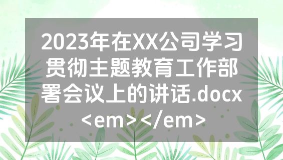 2023年在XX公司学习贯彻主题教育工作部署会议上的讲话.docx<em></em>