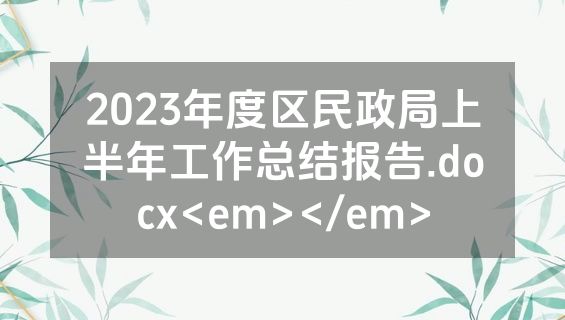 2023年度区民政局上半年工作总结报告.docx<em></em>