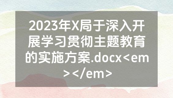2023年X局于深入开展学习贯彻主题教育的实施方案.docx<em></em>