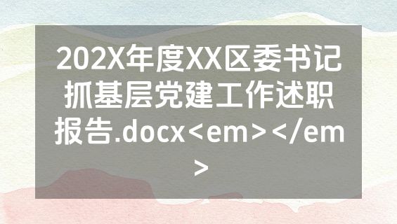 202X年度XX区委书记抓基层党建工作述职报告.docx<em></em>