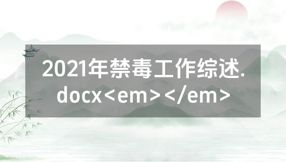 2021年禁毒工作综述.docx<em></em>