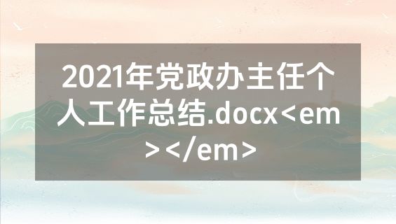 2021年党政办主任个人工作总结.docx<em></em>