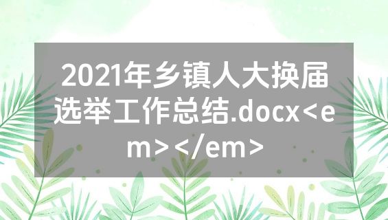2021年乡镇人大换届选举工作总结.docx<em></em>