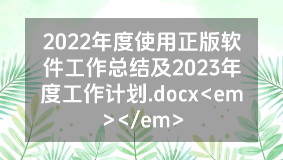 2022年度使用正版软件工作总结及2023年度工作计划.docx<em></em>