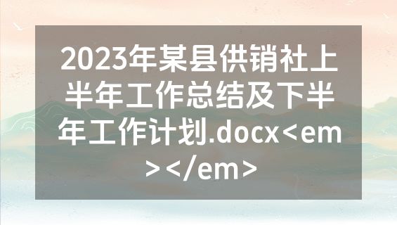 2023年某县供销社上半年工作总结及下半年工作计划.docx<em></em>