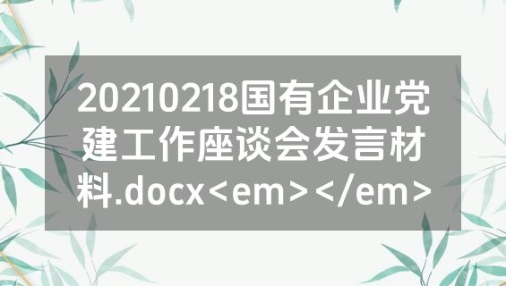 20210218国有企业党建工作座谈会发言材料.docx<em></em>