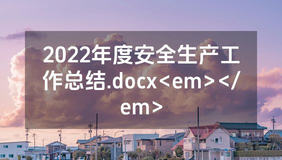 2022年度安全生产工作总结.docx<em></em>