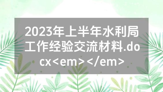 2023年上半年水利局工作经验交流材料.docx<em></em>