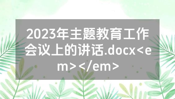 2023年主题教育工作会议上的讲话.docx<em></em>