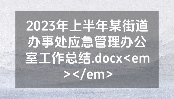 2023年上半年某街道办事处应急管理办公室工作总结.docx<em></em>