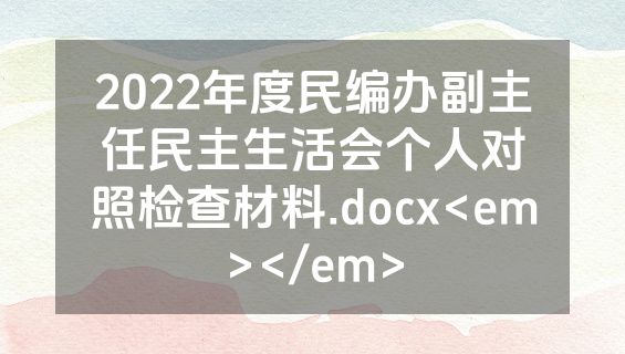 2022年度民编办副主任民主生活会个人对照检查材料.docx<em></em>