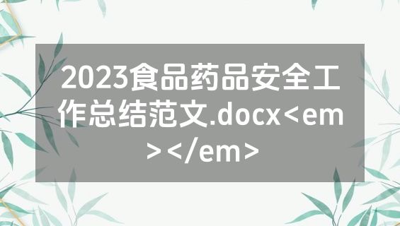 2023食品药品安全工作总结范文.docx<em></em>