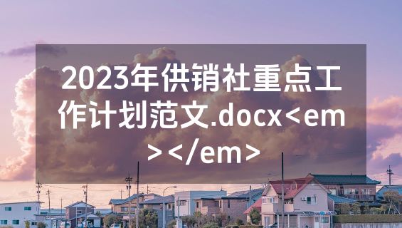 2023年供销社重点工作计划范文.docx<em></em>