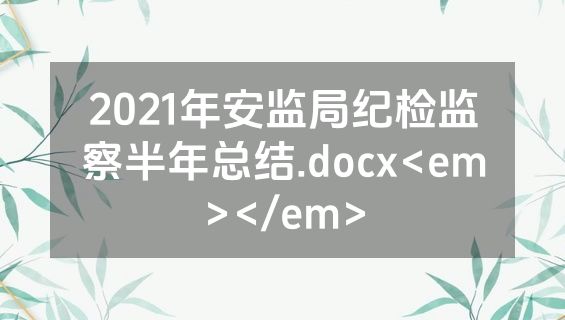 2021年安监局纪检监察半年总结.docx<em></em>