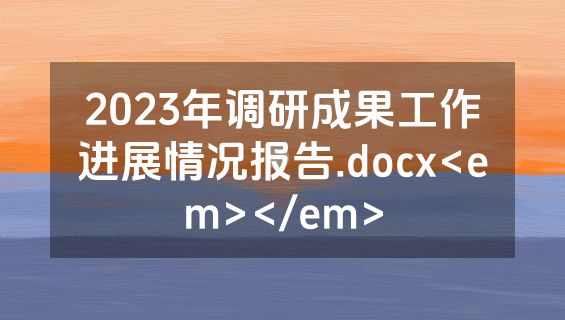 2023年调研成果工作进展情况报告.docx<em></em>