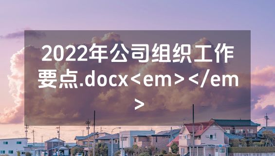 2022年公司组织工作要点.docx<em></em>