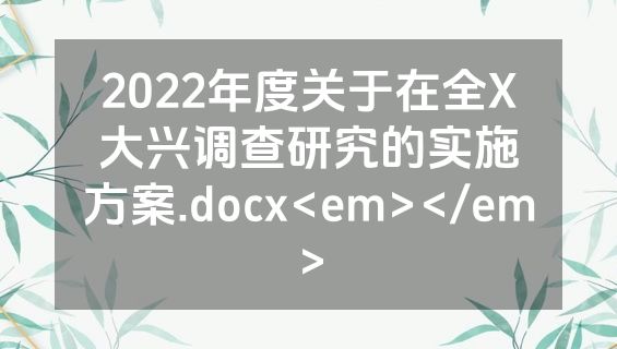 2022年度关于在全X大兴调查研究的实施方案.docx<em></em>