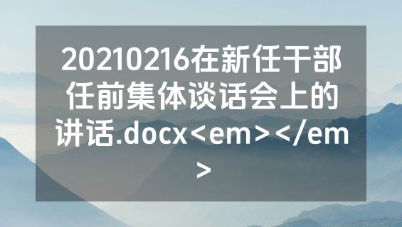 20210216在新任干部任前集体谈话会上的讲话.docx<em></em>