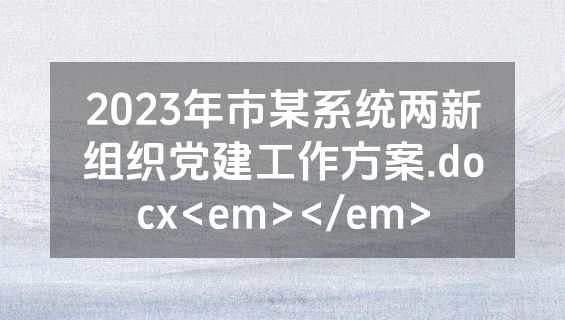 2023年市某系统两新组织党建工作方案.docx<em></em>