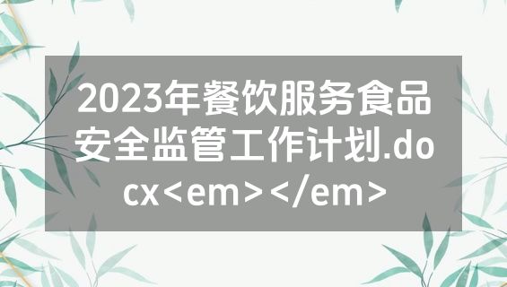 2023年餐饮服务食品安全监管工作计划.docx<em></em>