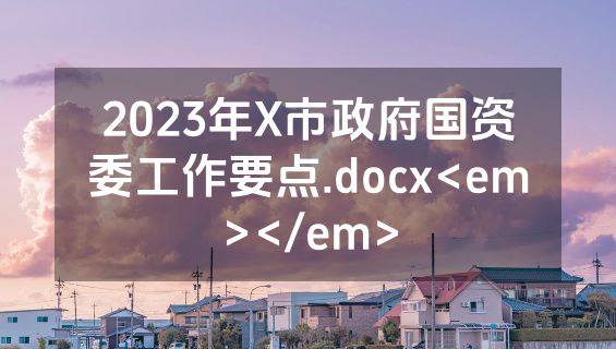 2023年X市政府国资委工作要点.docx<em></em>