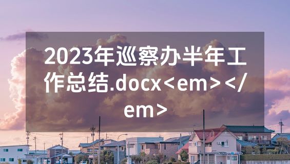 2023年巡察办半年工作总结.docx<em></em>