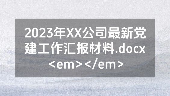 2023年XX公司最新党建工作汇报材料.docx<em></em>