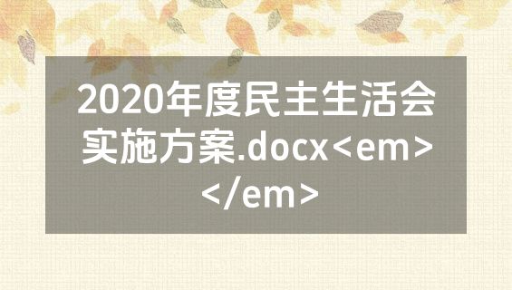 2020年度民主生活会实施方案.docx<em></em>