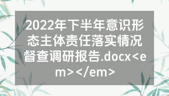 2022年下半年意识形态主体责任落实情况督查调研报告.docx<em></em>