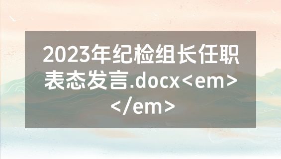 2023年纪检组长任职表态发言.docx<em></em>