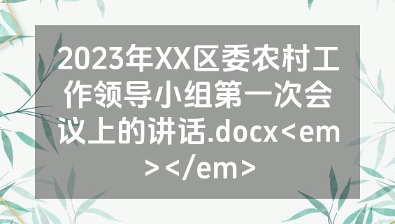 2023年XX区委农村工作领导小组第一次会议上的讲话.docx<em></em>