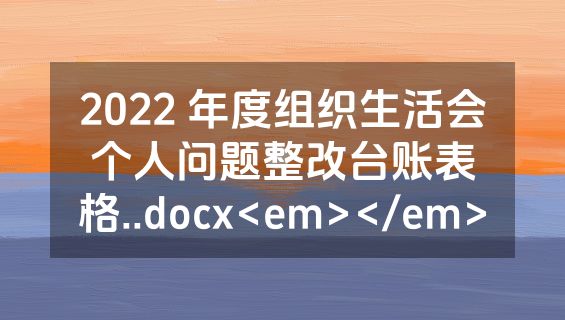 2022 年度组织生活会个人问题整改台账表格..docx<em></em>