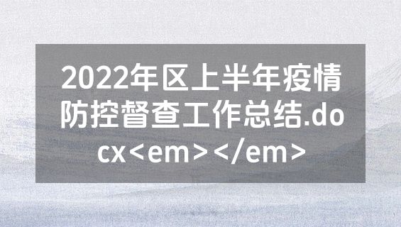 2022年区上半年疫情防控督查工作总结.docx<em></em>