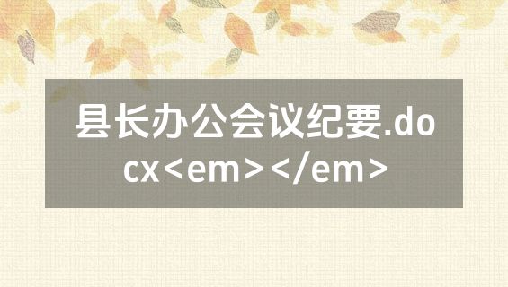 县长办公会议纪要.docx<em></em>