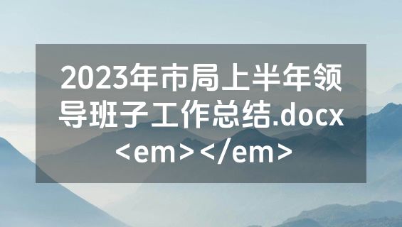 2023年市局上半年领导班子工作总结.docx<em></em>