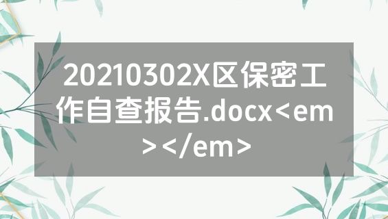 20210302X区保密工作自查报告.docx<em></em>