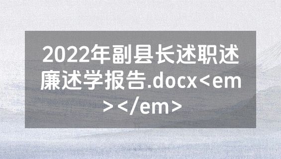 2022年副县长述职述廉述学报告.docx<em></em>